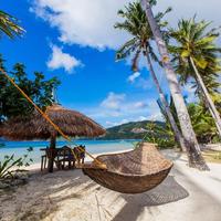 Отзыв от Максим - DTV виза